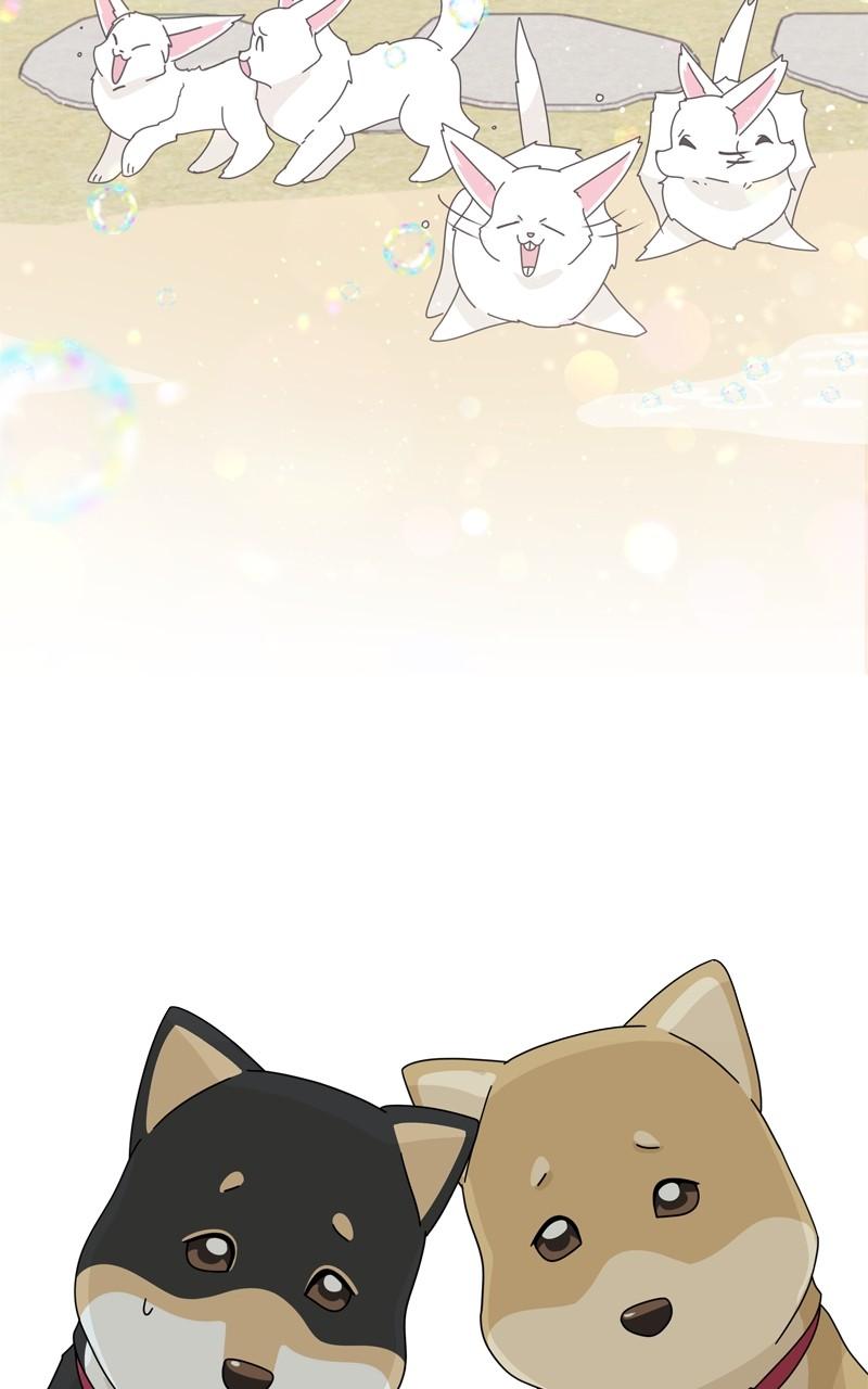 The Dog Diaries Chap 199 - Next Chap 200