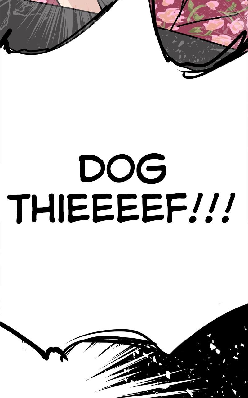 The Dog Diaries Chap 200 - Next Chap 201