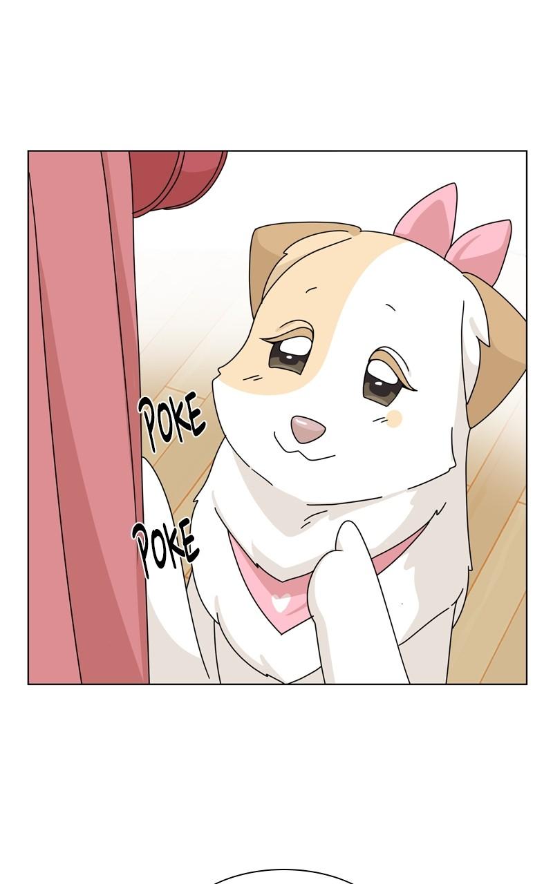 The Dog Diaries Chap 200 - Next Chap 201