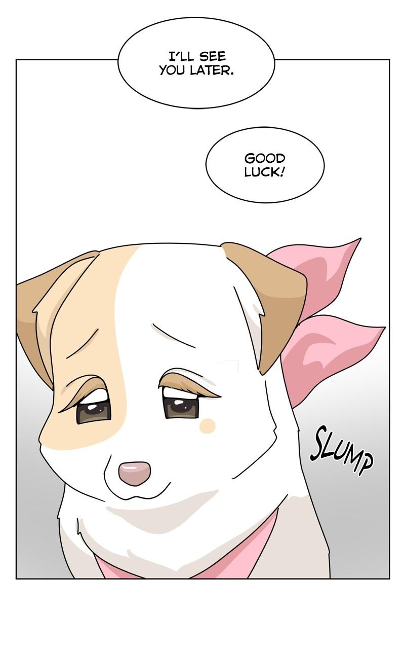 The Dog Diaries Chap 200 - Next Chap 201