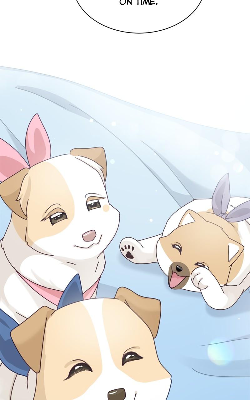 The Dog Diaries Chap 200 - Next Chap 201