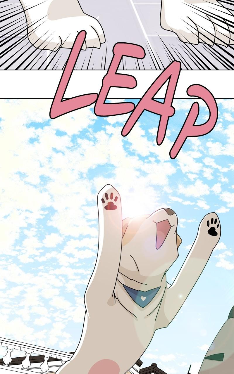 The Dog Diaries Chap 200 - Next Chap 201