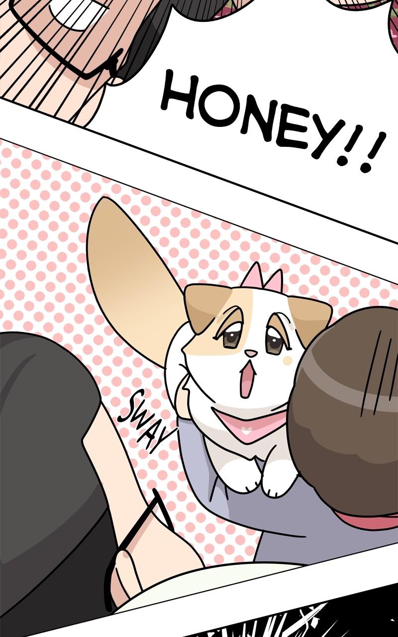 The Dog Diaries Chap 201 - Next Chap 202