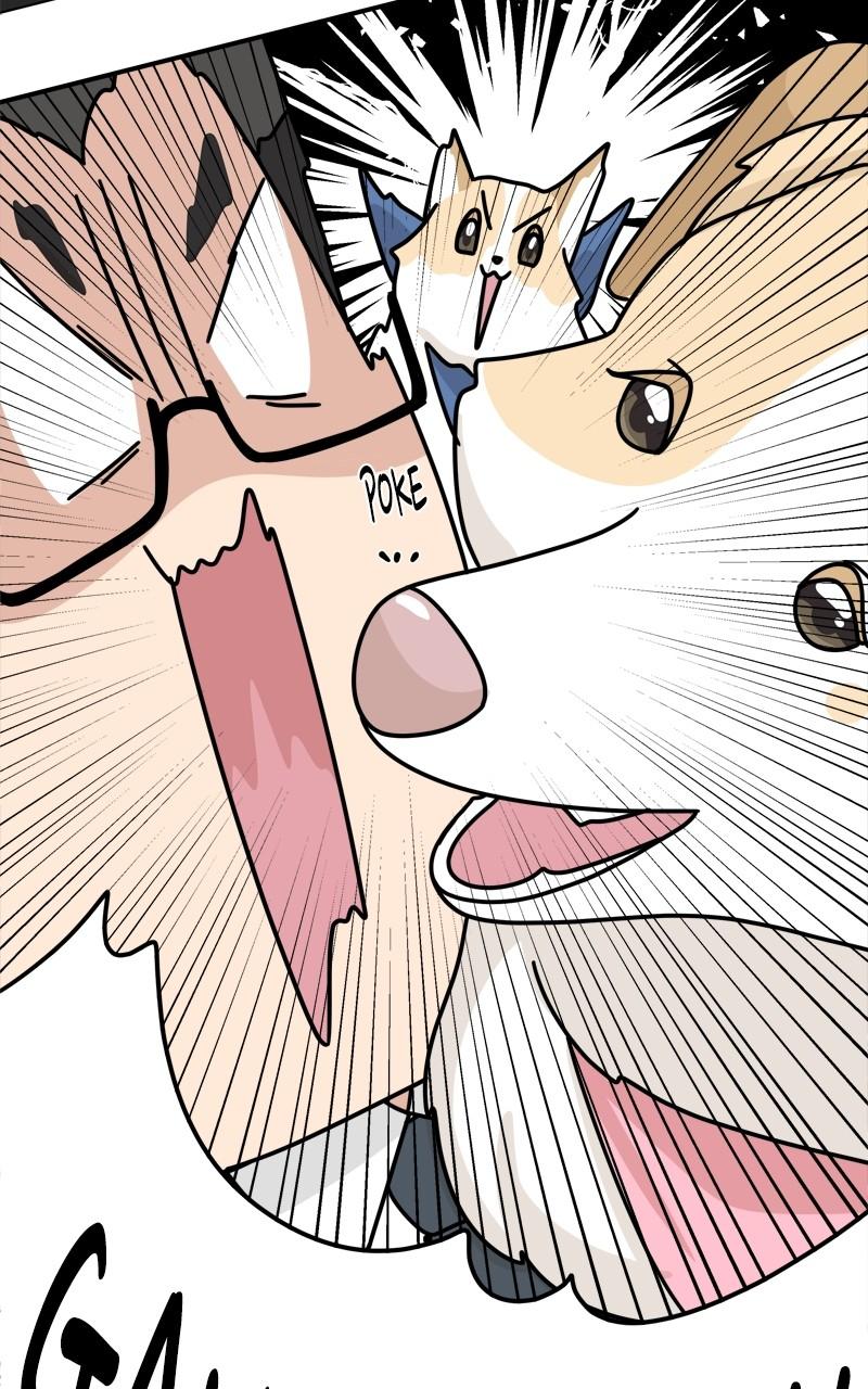 The Dog Diaries Chap 201 - Next Chap 202