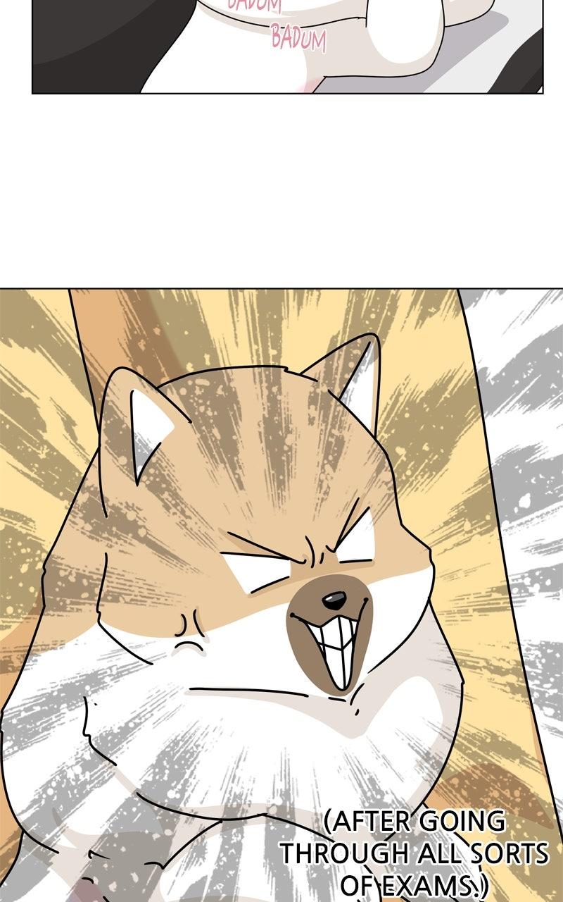 The Dog Diaries Chap 215 - Next Chap 216