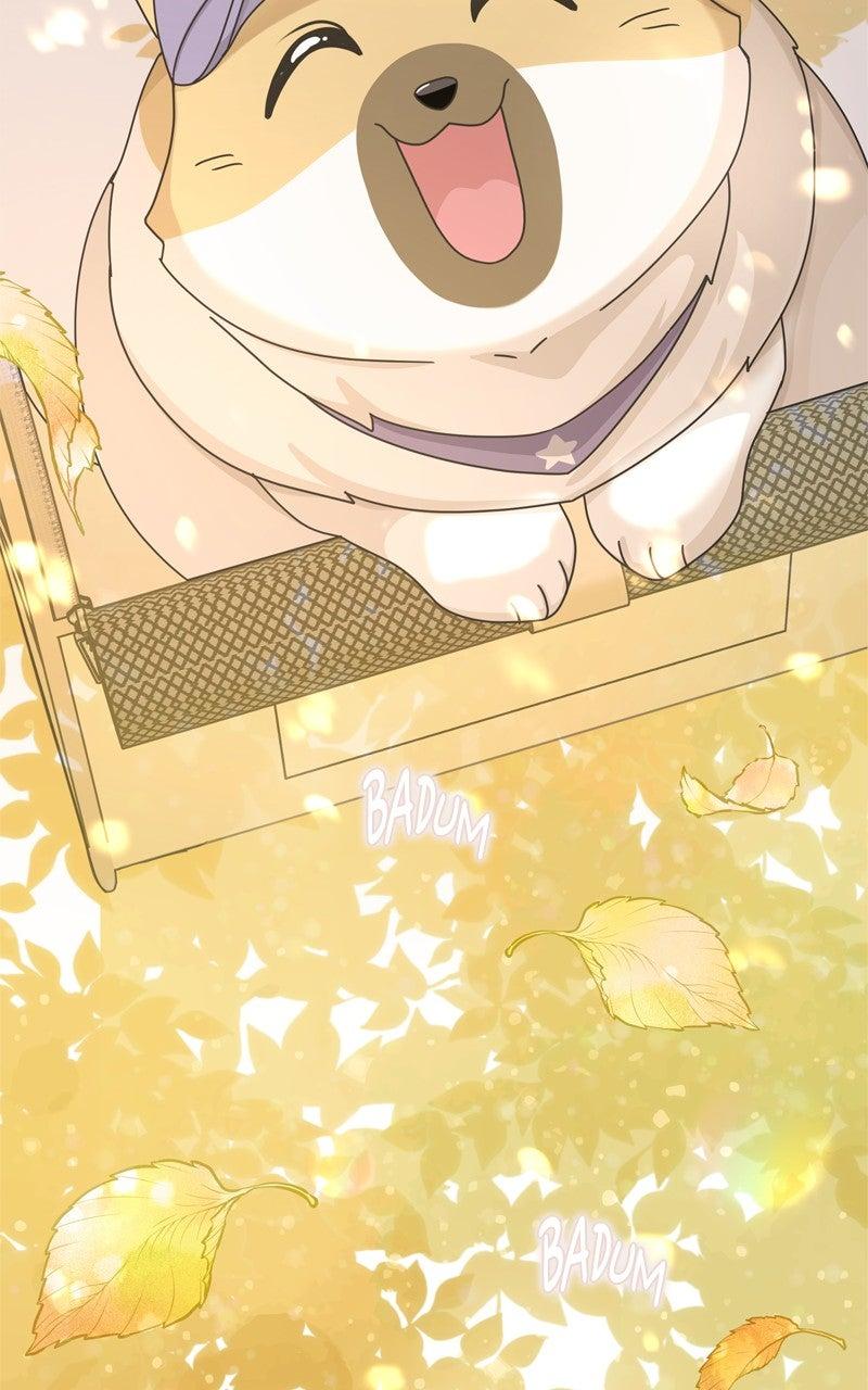 The Dog Diaries Chap 212 - Next Chap 213