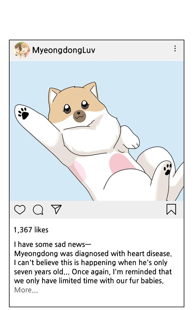 The Dog Diaries Chap 214 - Next Chap 215