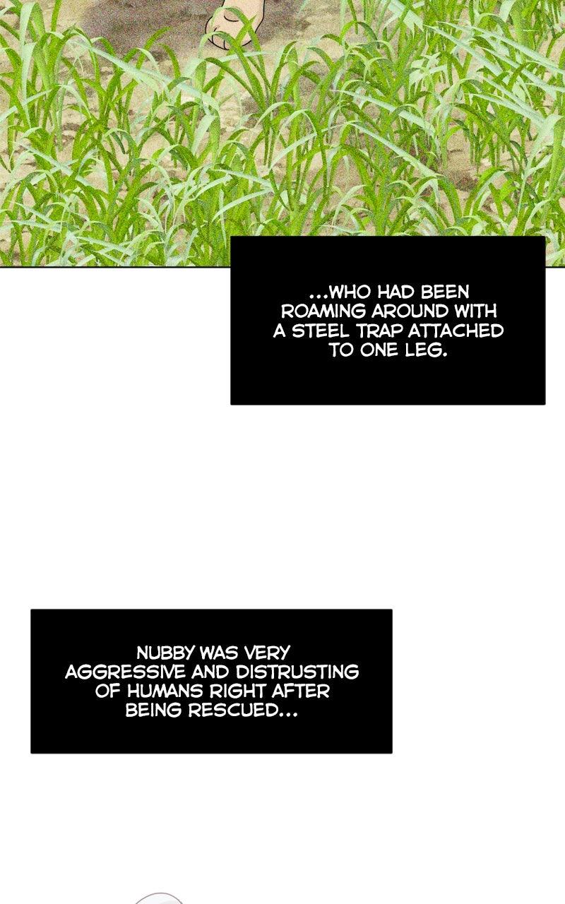 The Dog Diaries Chap 214 - Next Chap 215