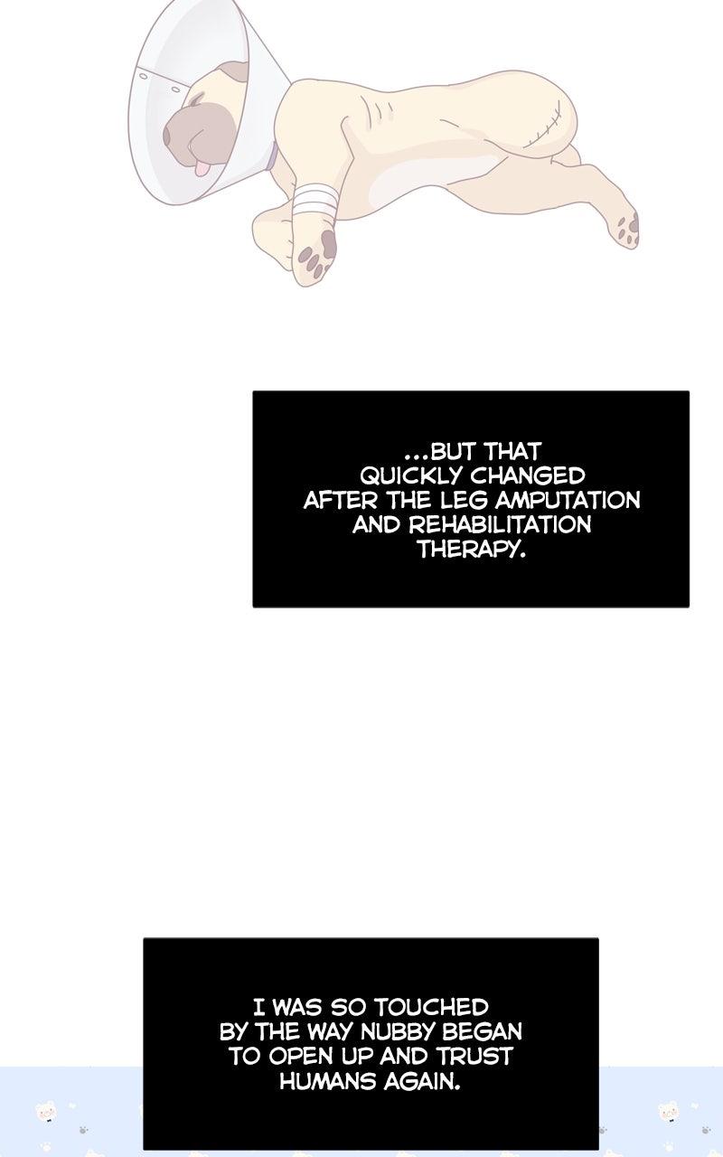 The Dog Diaries Chap 214 - Next Chap 215