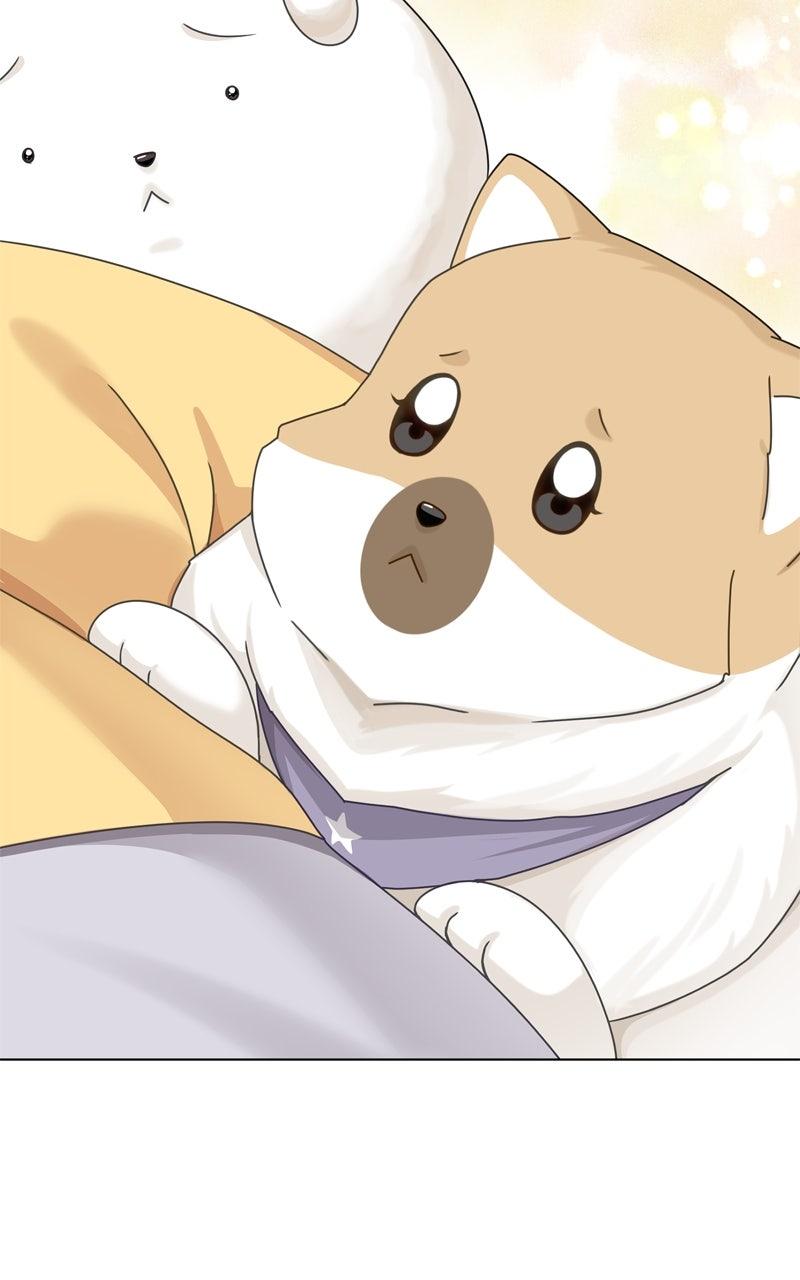 The Dog Diaries Chap 214 - Next Chap 215