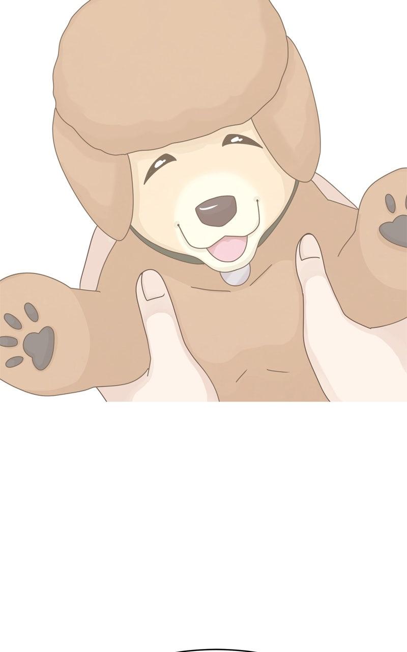 The Dog Diaries Chap 216 - Next Chap 217