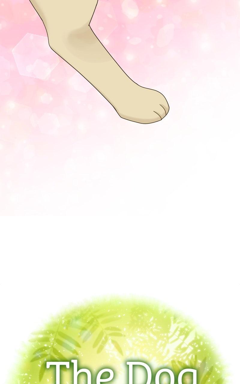 The Dog Diaries Chap 217 - Next Chap 218