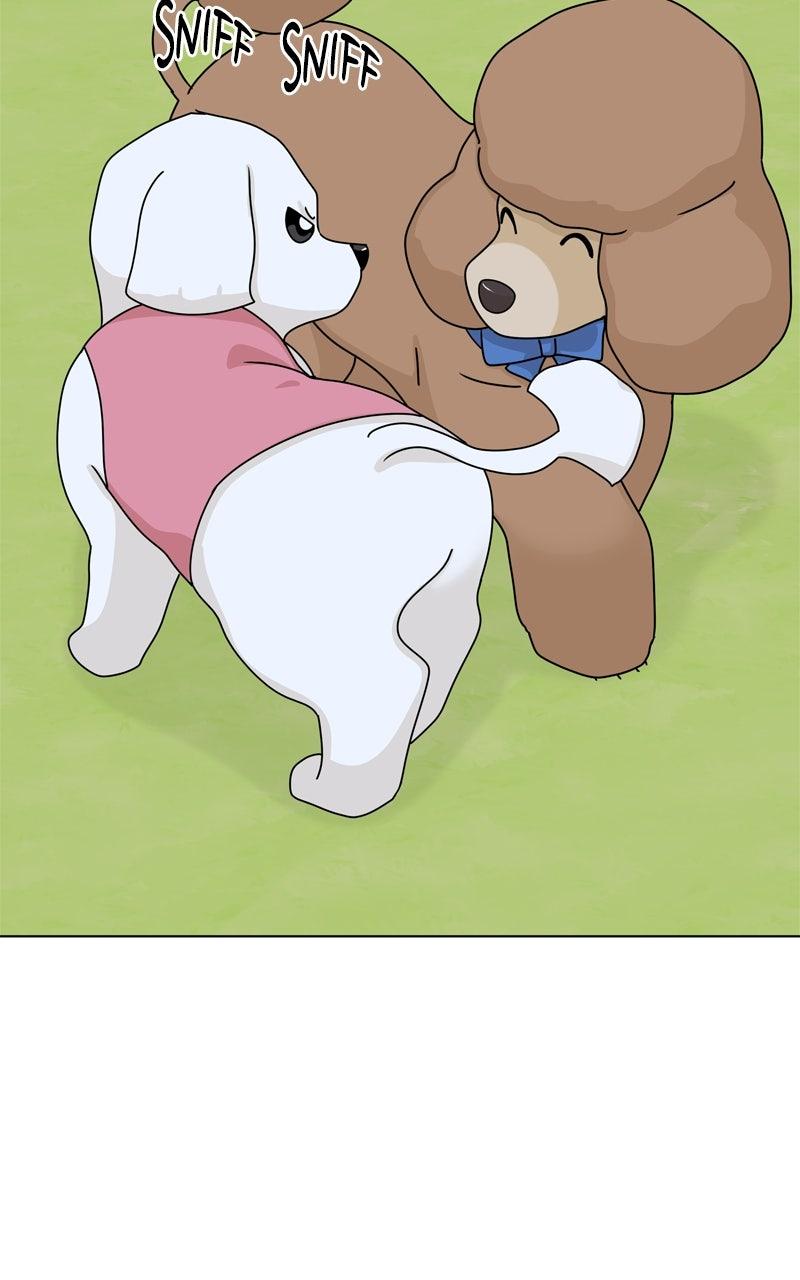The Dog Diaries Chap 217 - Next Chap 218