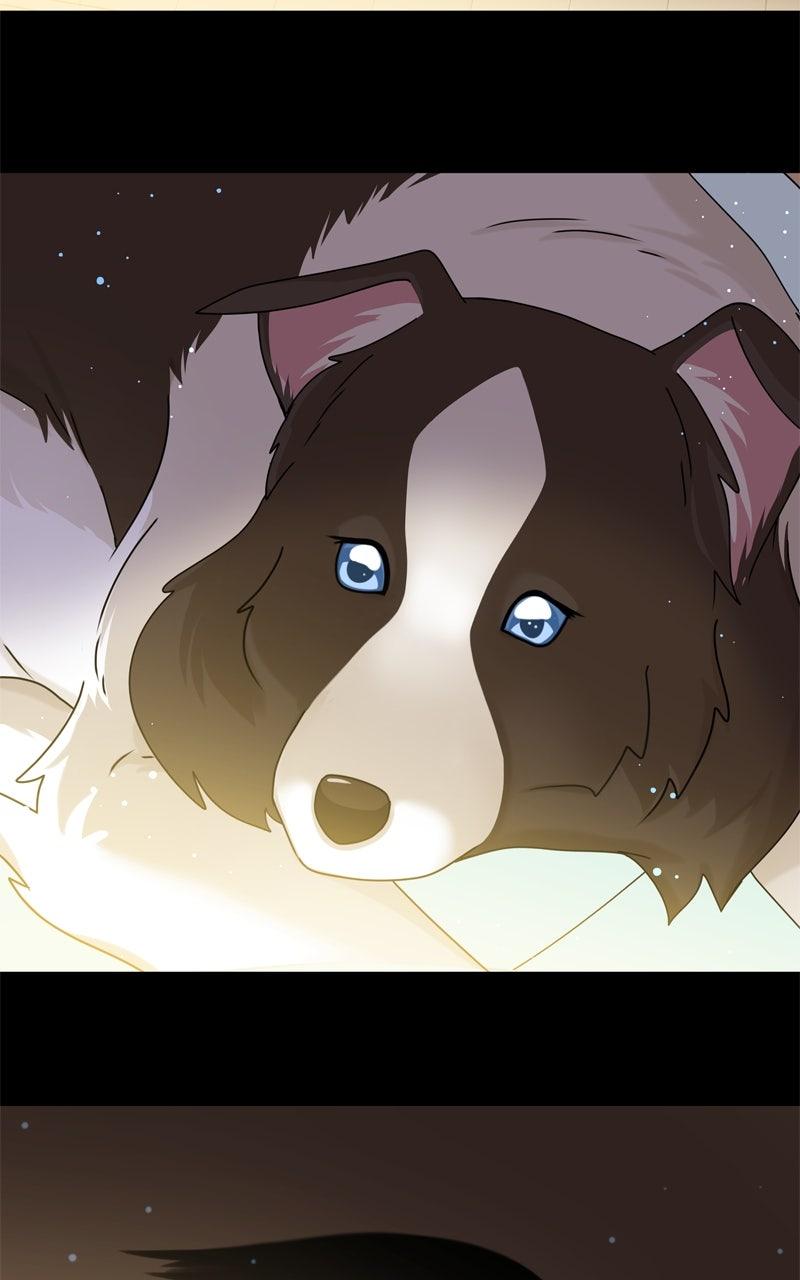The Dog Diaries Chap 208 - Next Chap 209