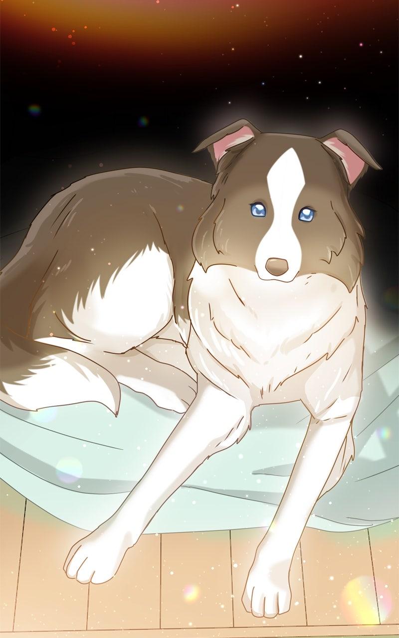 The Dog Diaries Chap 208 - Next Chap 209