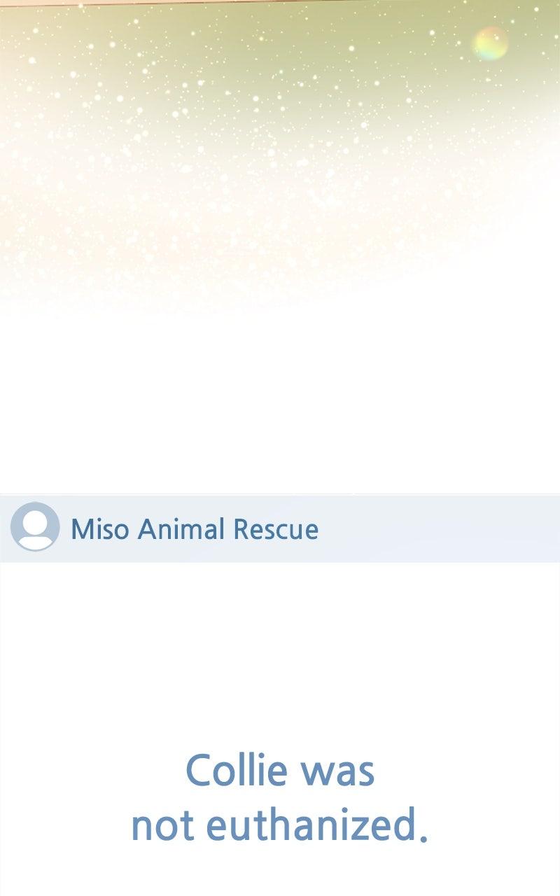 The Dog Diaries Chap 208 - Next Chap 209