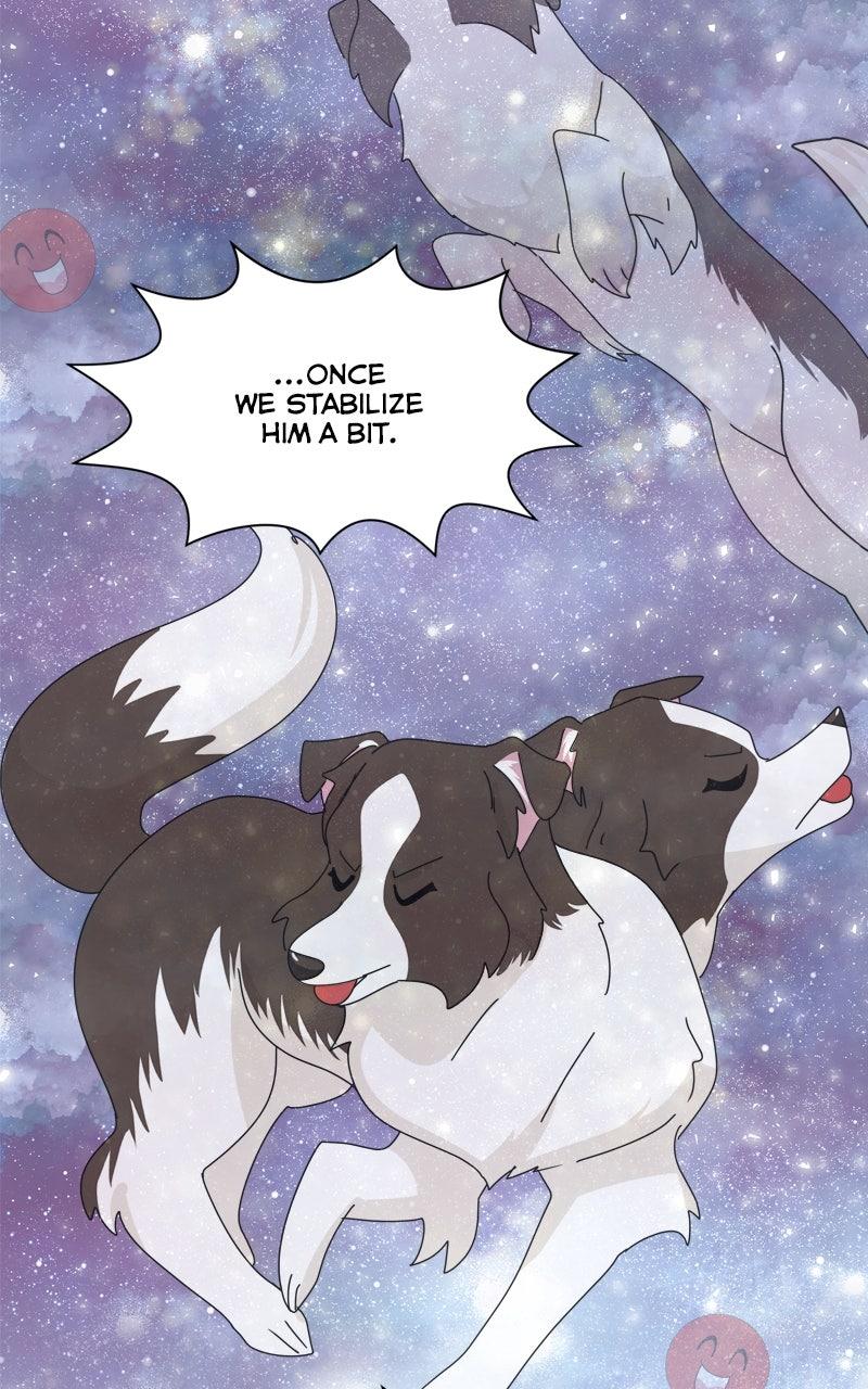 The Dog Diaries Chap 208 - Next Chap 209