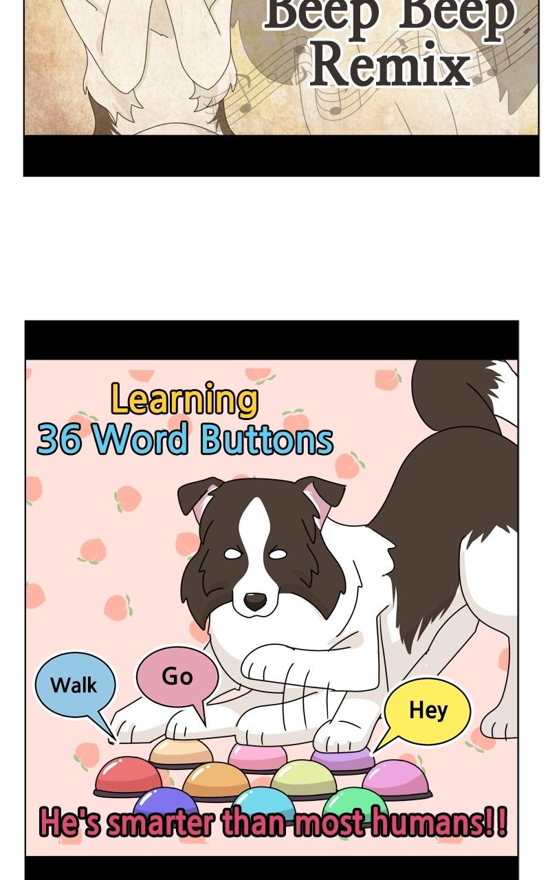 The Dog Diaries Chap 209 - Next Chap 210