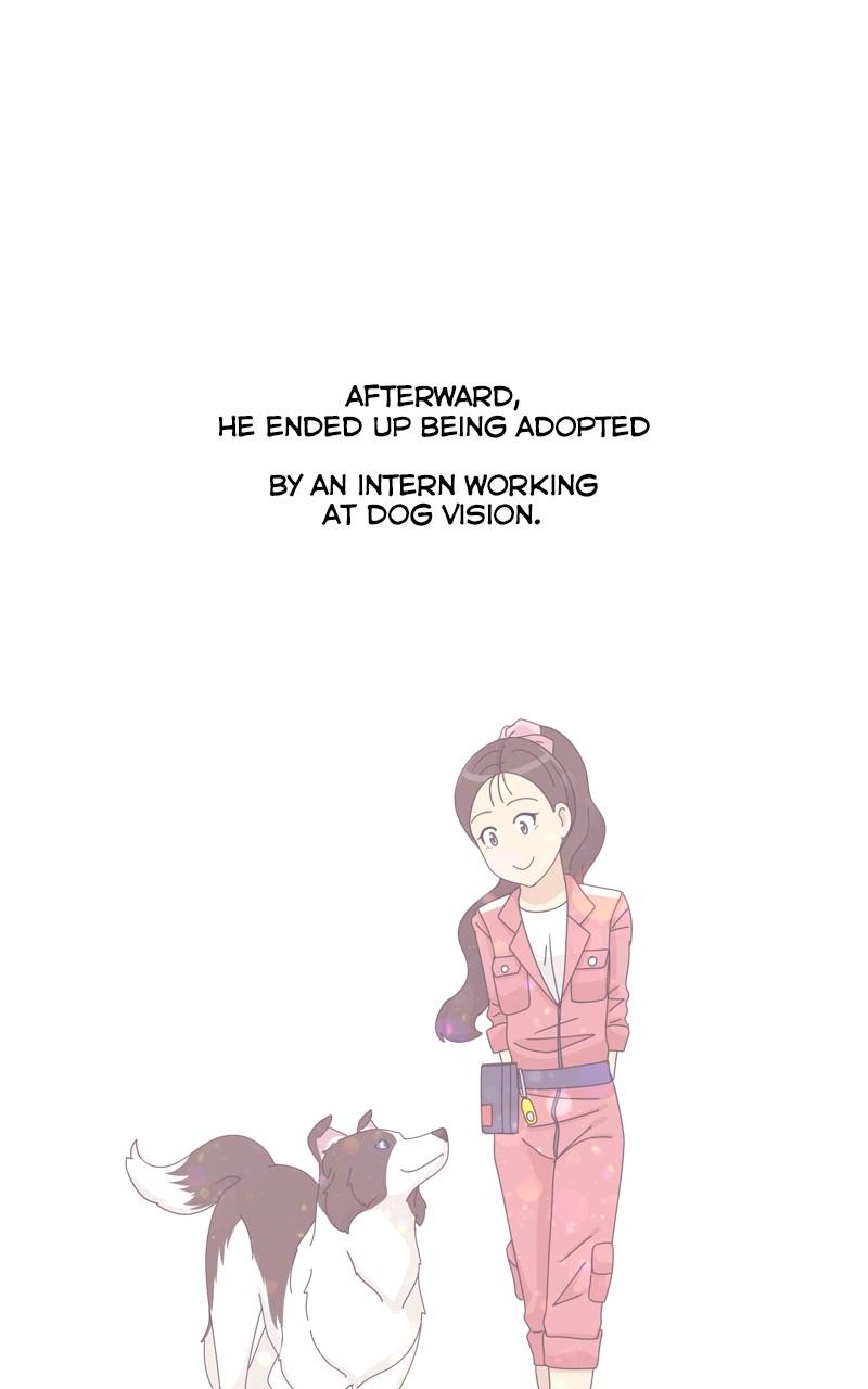 The Dog Diaries Chap 209 - Next Chap 210