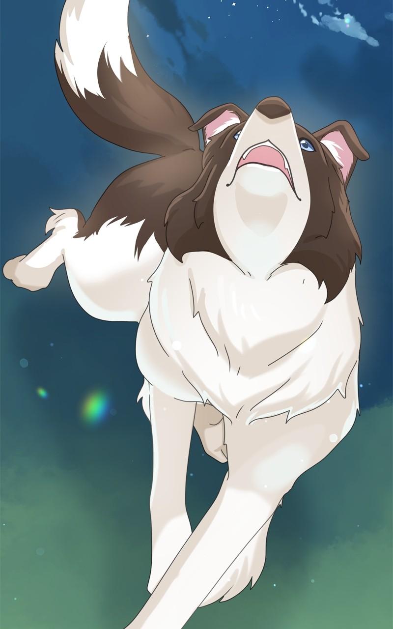 The Dog Diaries Chap 209 - Next Chap 210