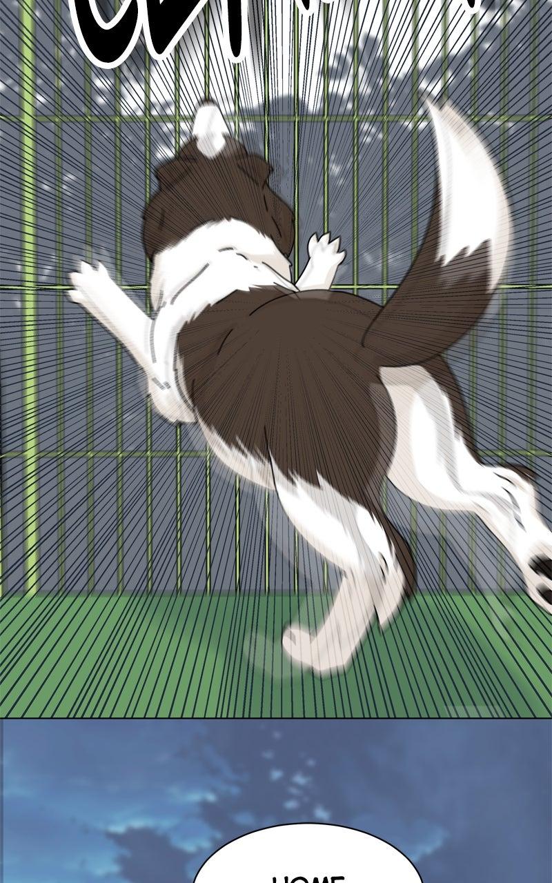 The Dog Diaries Chap 209 - Next Chap 210