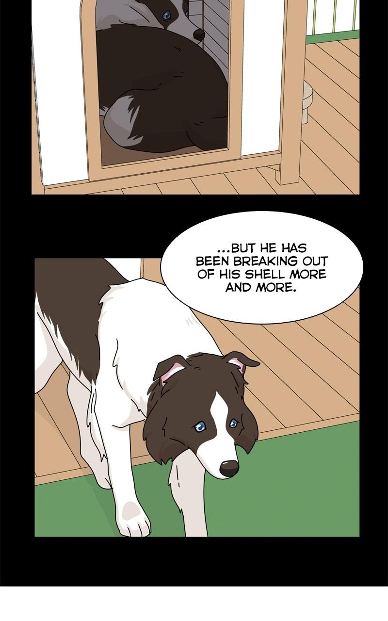 The Dog Diaries Chap 209 - Next Chap 210