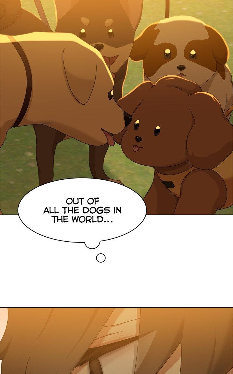 The Dog Diaries Chap 225 - Next Chap 226