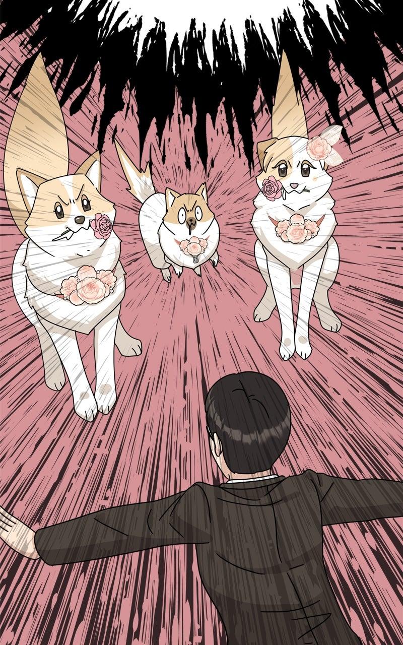 The Dog Diaries Chap 222 - Next Chap 223