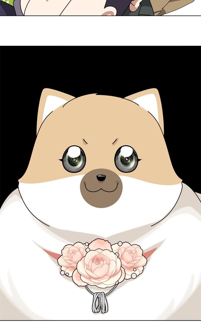 The Dog Diaries Chap 222 - Next Chap 223