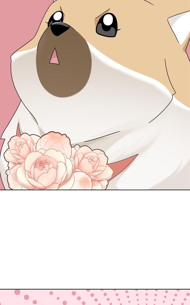 The Dog Diaries Chap 222 - Next Chap 223