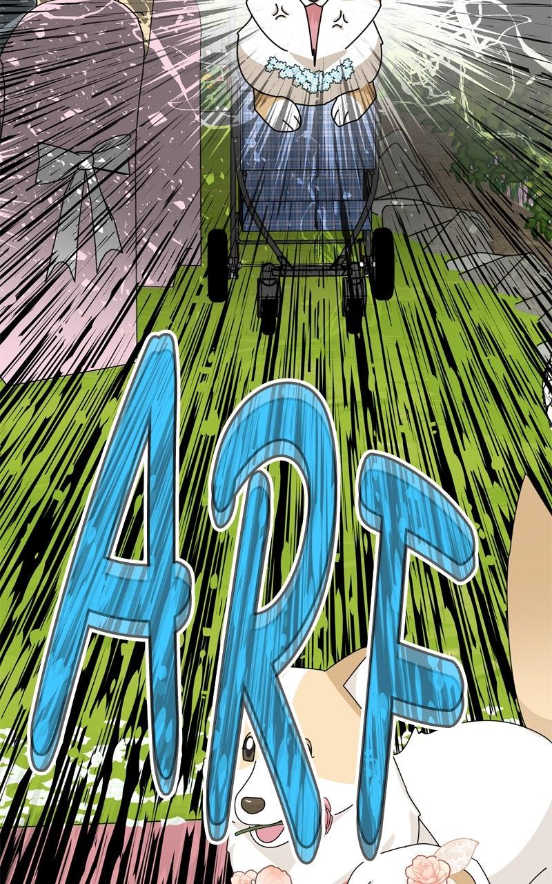 The Dog Diaries Chap 222 - Next Chap 223