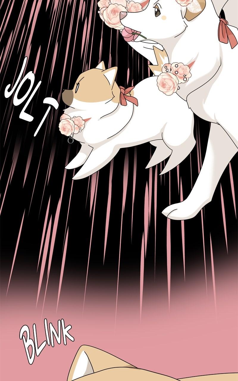 The Dog Diaries Chap 222 - Next Chap 223