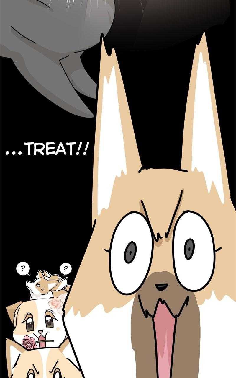The Dog Diaries Chap 222 - Next Chap 223