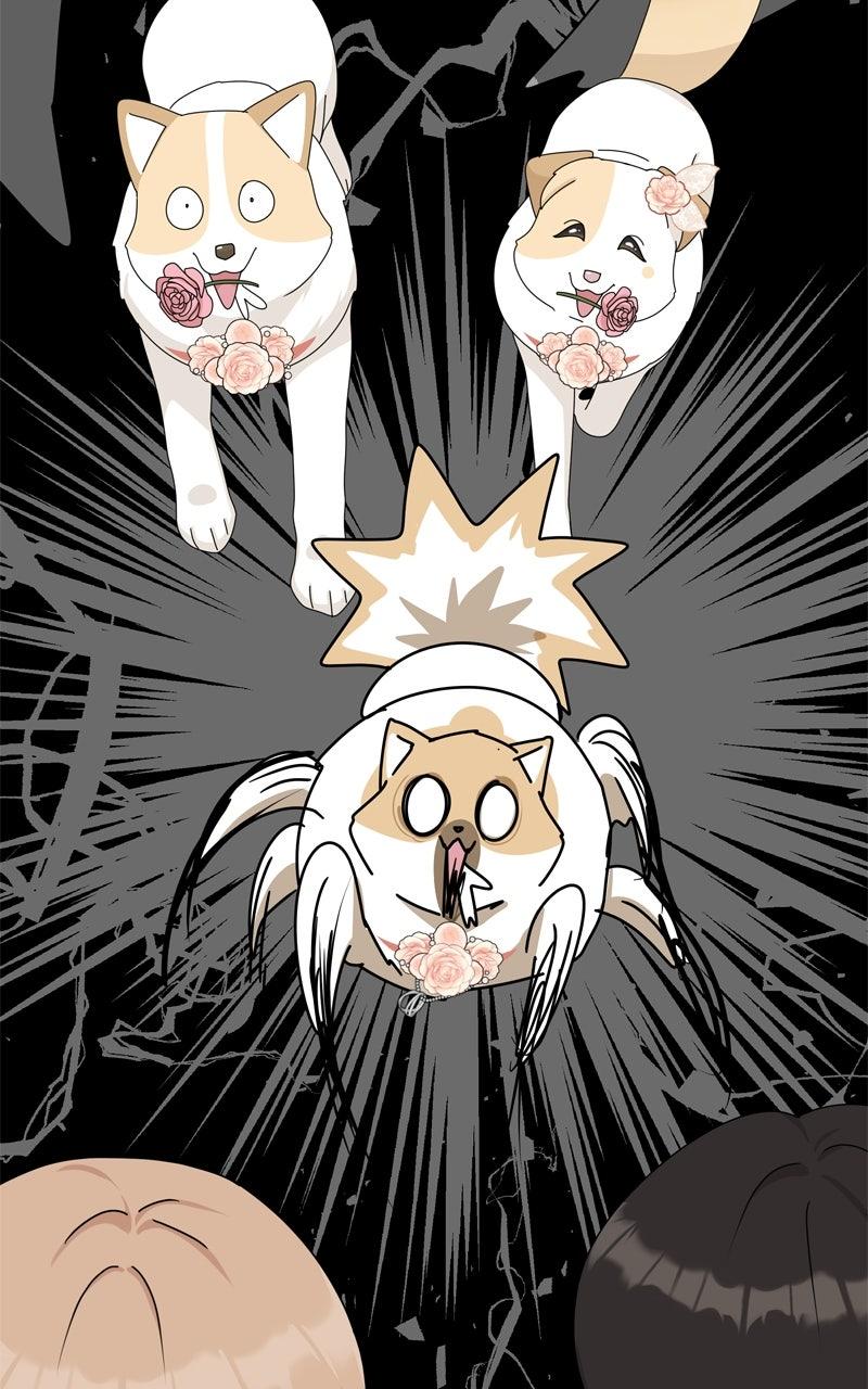 The Dog Diaries Chap 222 - Next Chap 223