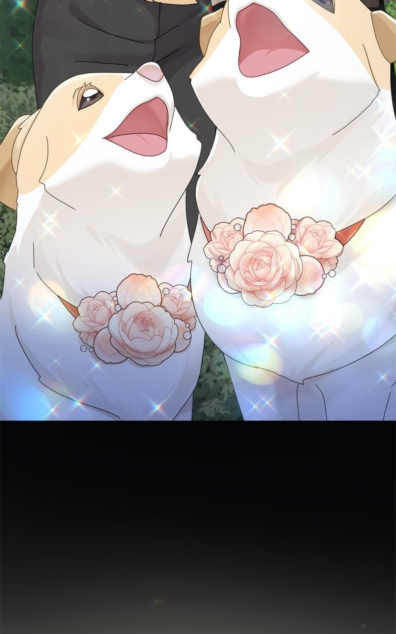 The Dog Diaries Chap 222 - Next Chap 223