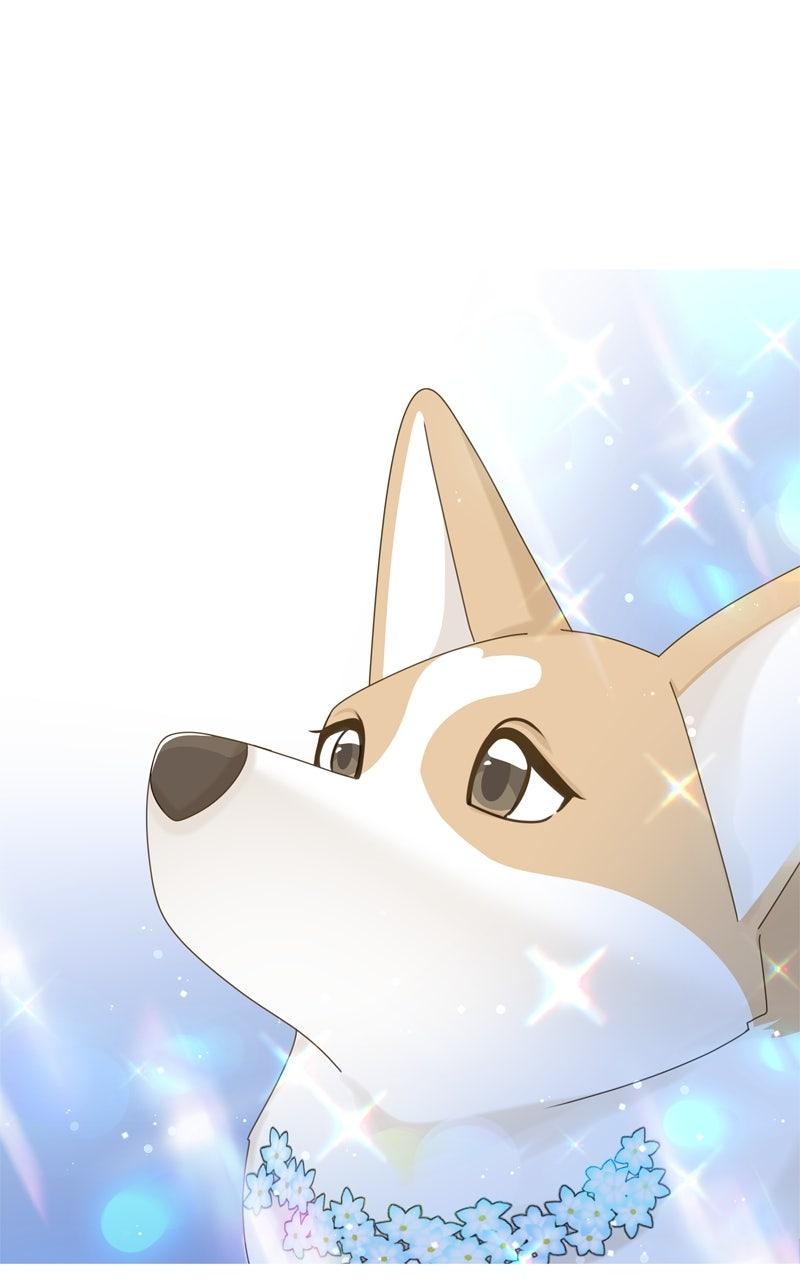 The Dog Diaries Chap 222 - Next Chap 223