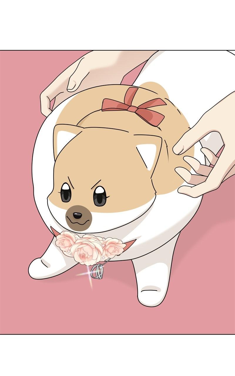 The Dog Diaries Chap 222 - Next Chap 223