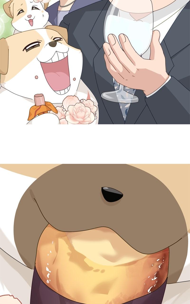 The Dog Diaries Chap 223 - Next Chap 224