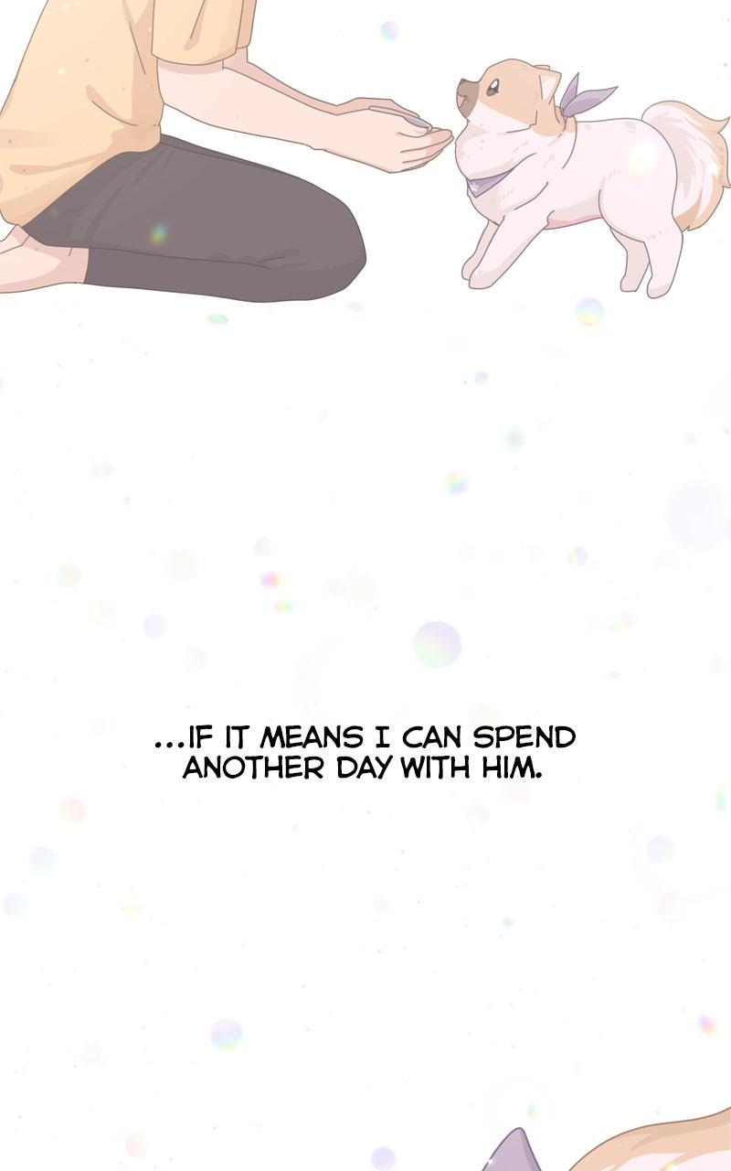 The Dog Diaries Chap 224 - Next Chap 225