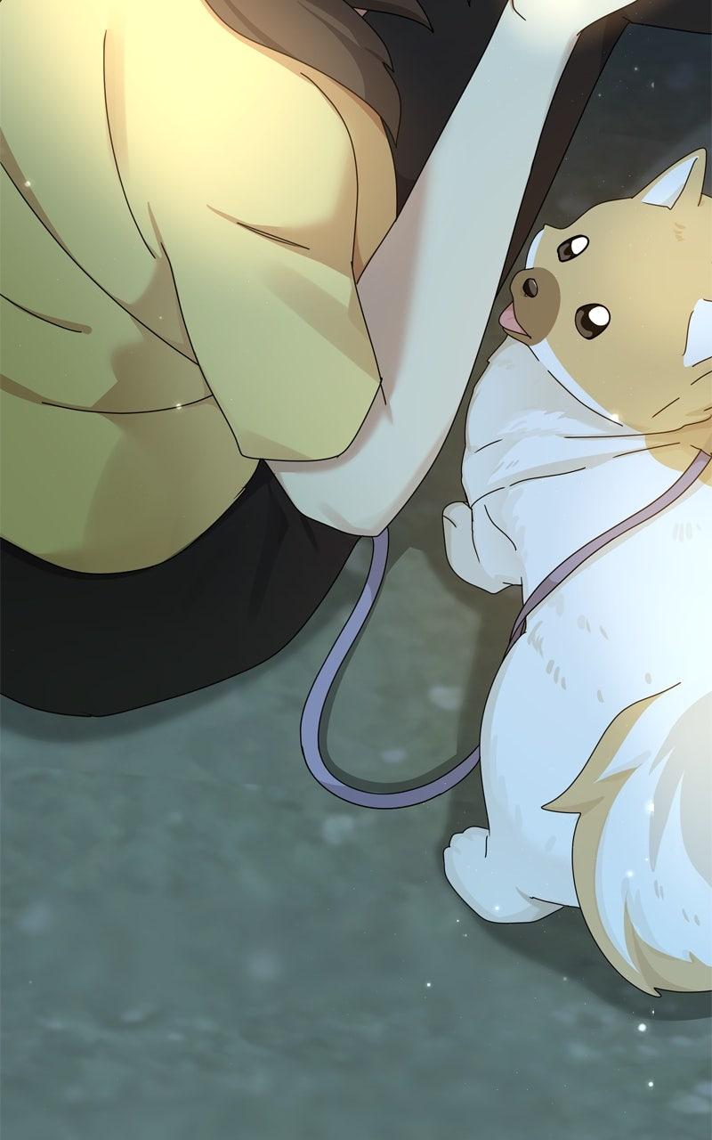 The Dog Diaries Chap 226 - Next Chap 227