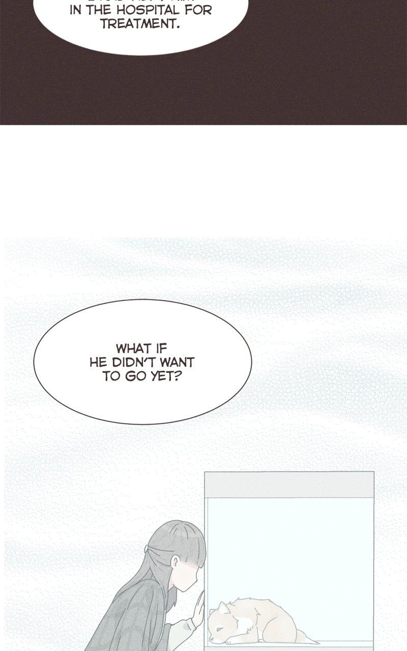 The Dog Diaries Chap 226 - Next Chap 227