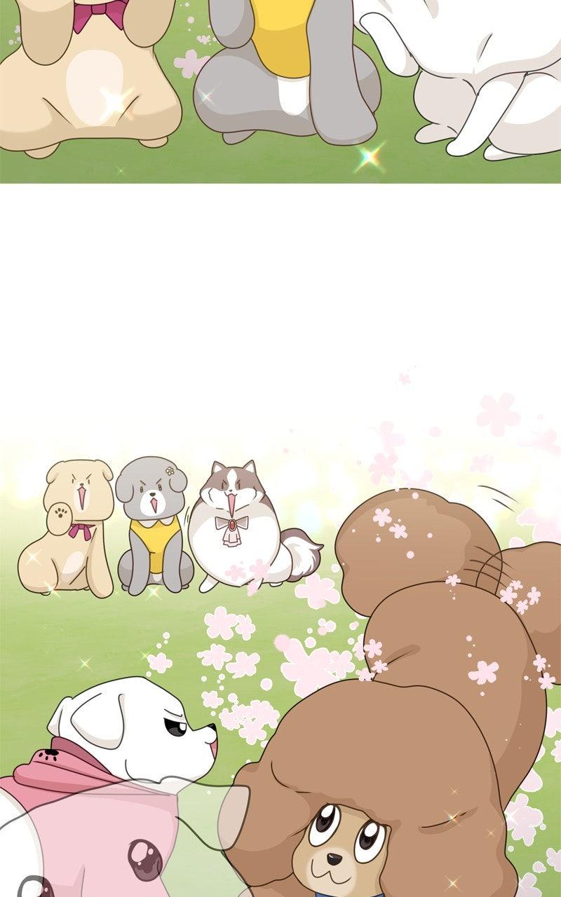 The Dog Diaries Chap 219 - Next Chap 220
