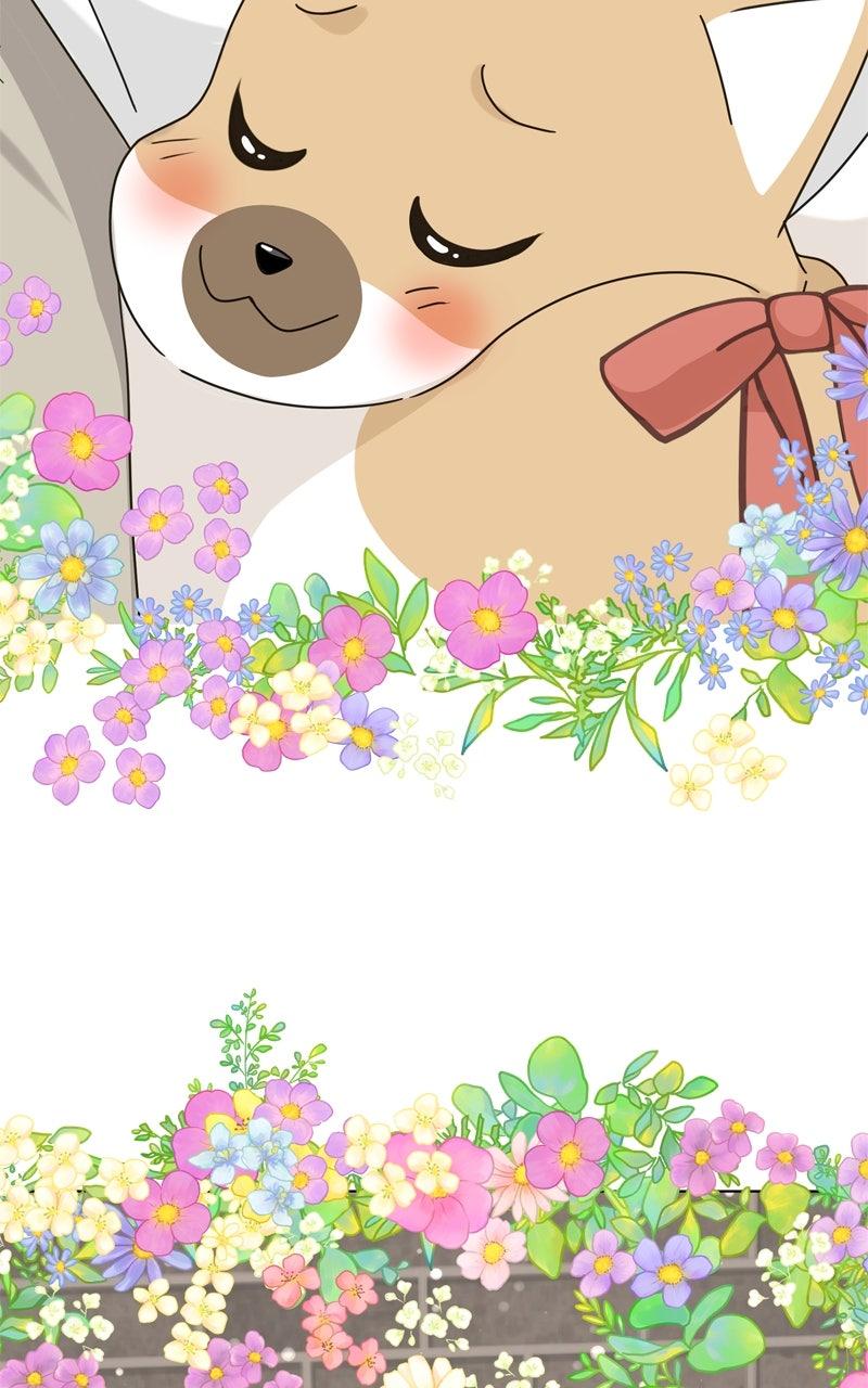 The Dog Diaries Chap 221 - Next Chap 222