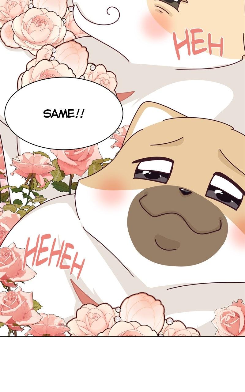 The Dog Diaries Chap 221 - Next Chap 222