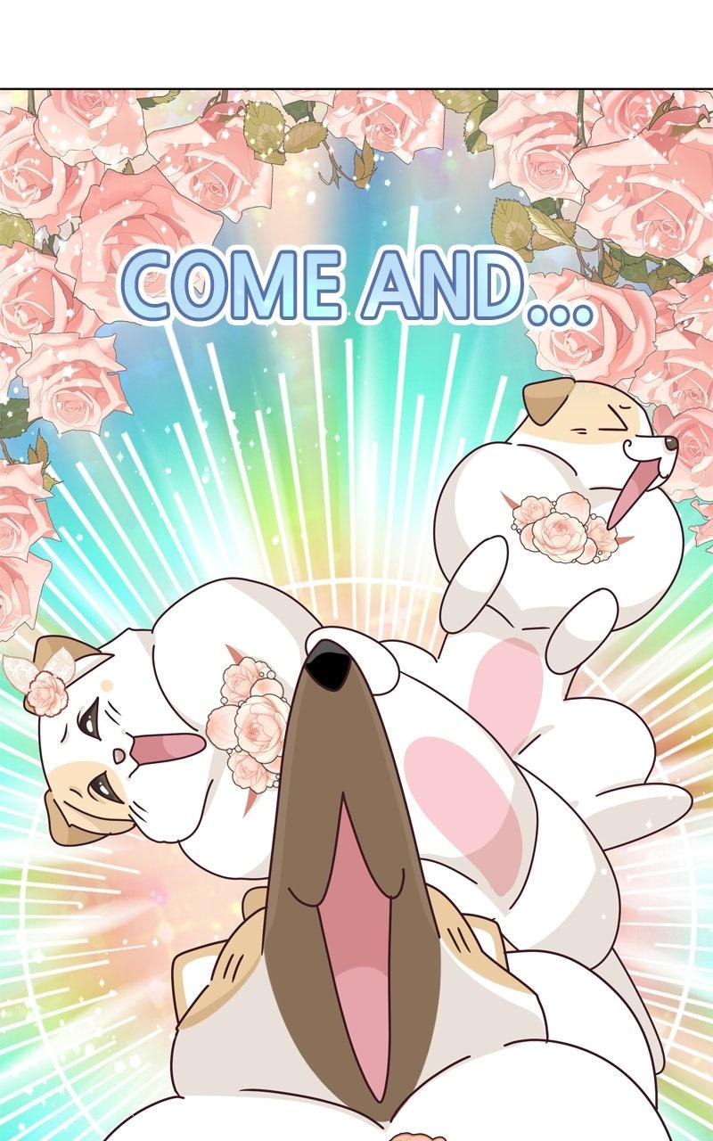 The Dog Diaries Chap 221 - Next Chap 222