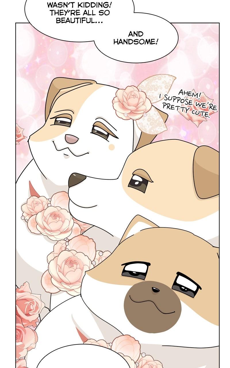 The Dog Diaries Chap 221 - Next Chap 222