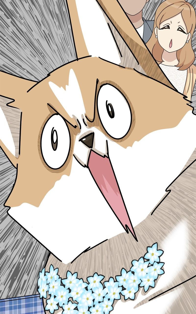 The Dog Diaries Chap 221 - Next Chap 222