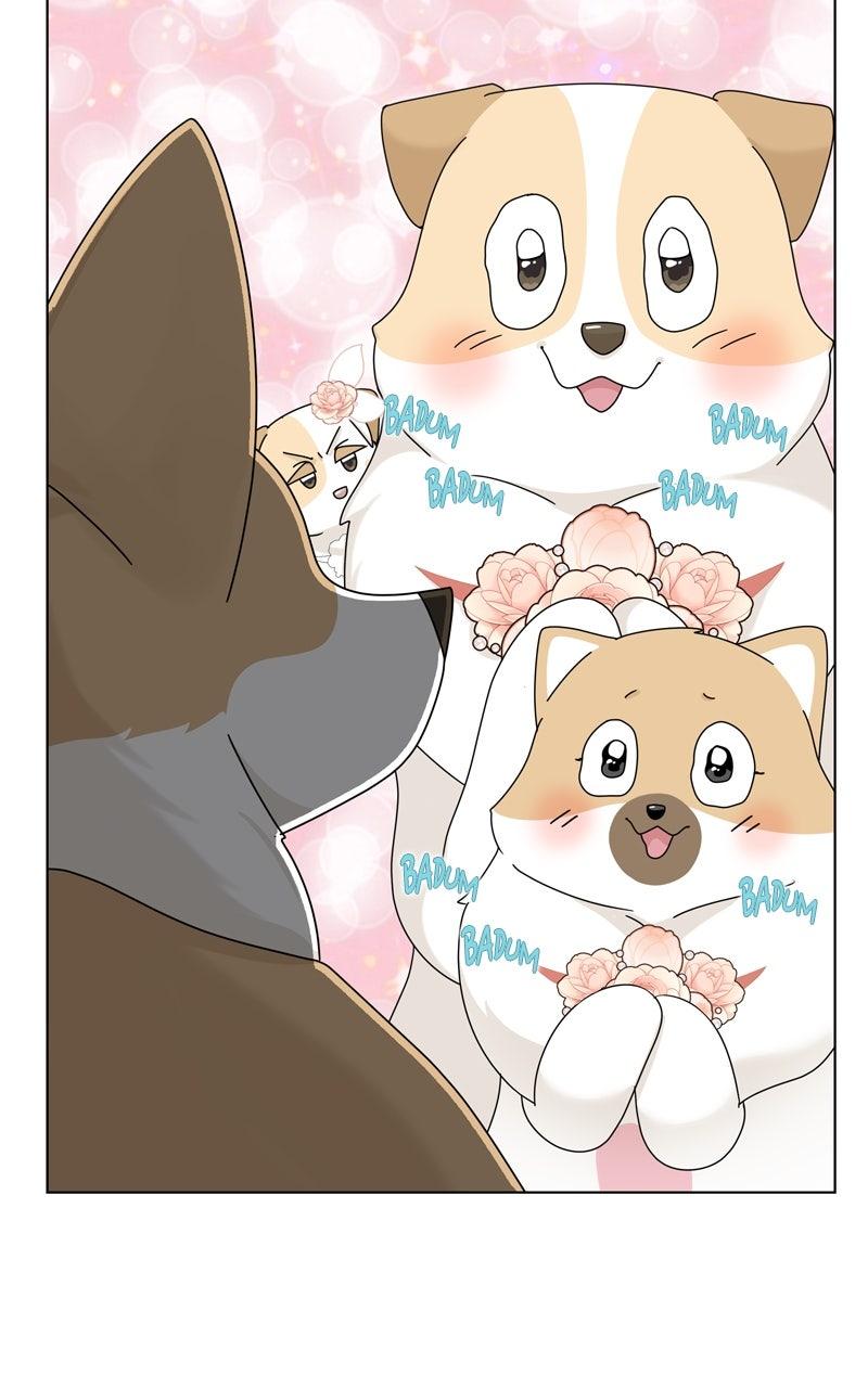 The Dog Diaries Chap 221 - Next Chap 222