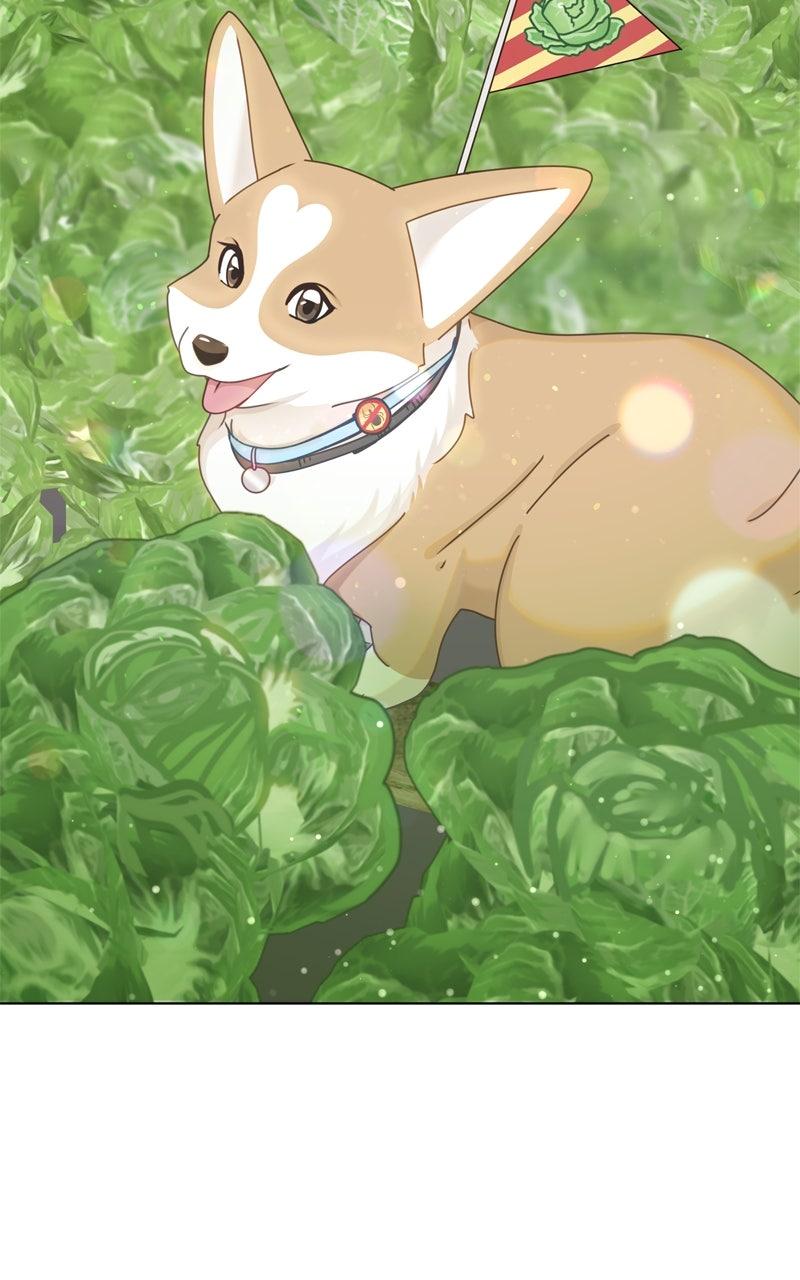 The Dog Diaries Chap 221 - Next Chap 222