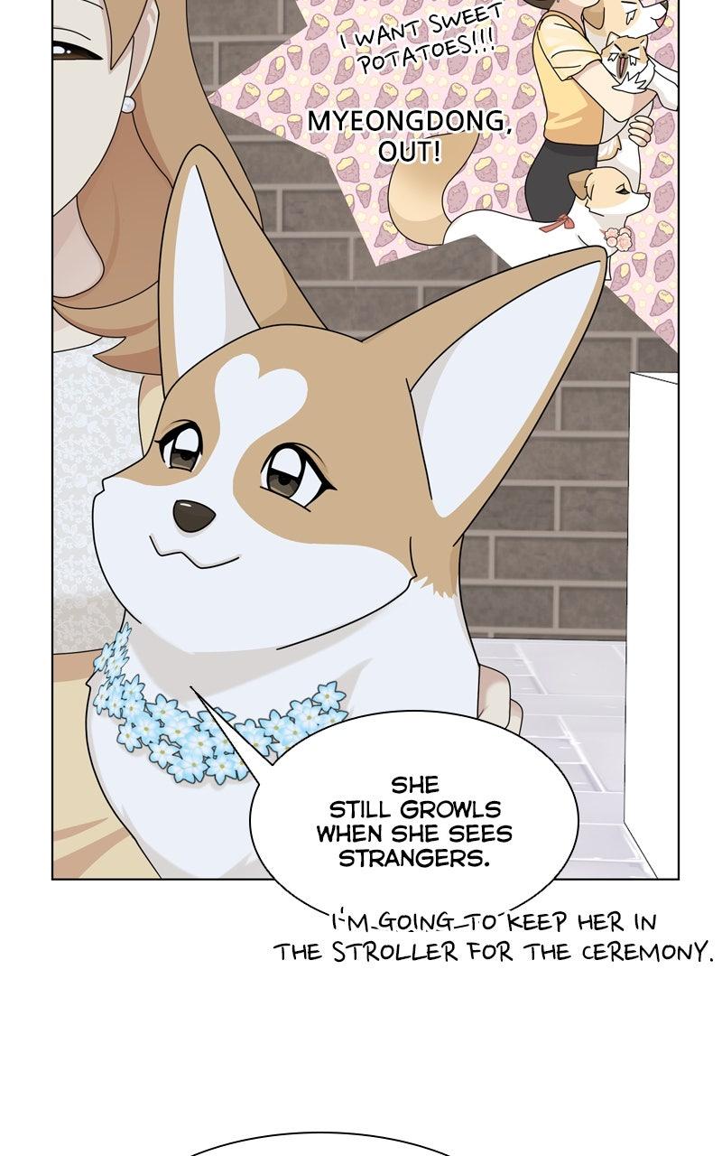 The Dog Diaries Chap 221 - Next Chap 222